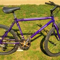 Bicicletta mountain-bike