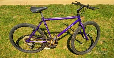 Bicicletta mountain-bike