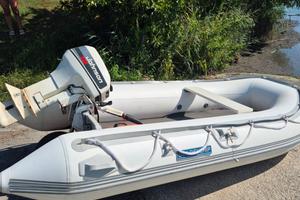 gommone goldenship 330 con motore johnson 15 cv