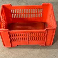 Cassette Frutta plastica