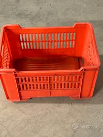 Cassette Frutta plastica