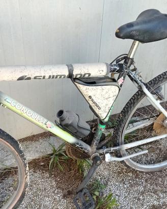 mountain-bike 