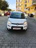 fiat-panda-1-3-mjt-95-cv-s-s-4x4
