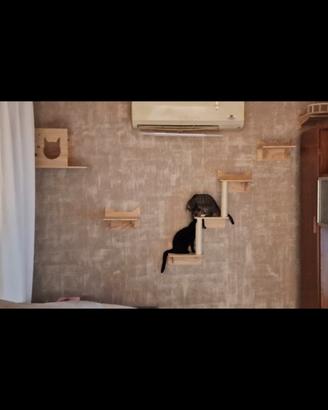 Mensole parete attrezzata gatti