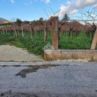 TER. AGRICOLO A FOGLIANISE