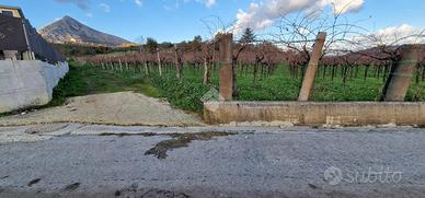 TER. AGRICOLO A FOGLIANISE