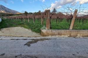 TER. AGRICOLO A FOGLIANISE