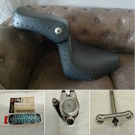 Sella piastraforcella pinza freno BAD BOY Harley