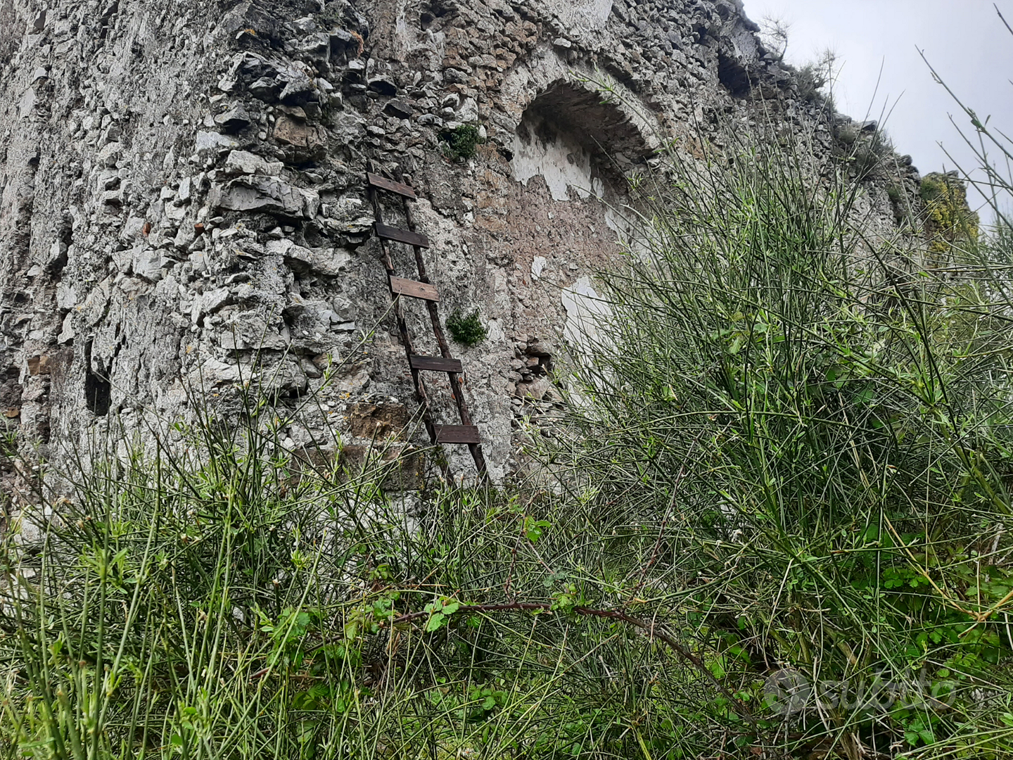 Vendita collina - Vista 4