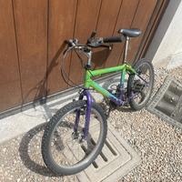 Bicicletta da Bambino (bici fausto coppi)