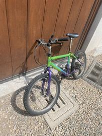 Bicicletta da Bambino (bici fausto coppi)