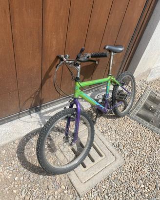 Bicicletta da Bambino (bici fausto coppi)