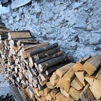 legna da ardere di faggio 