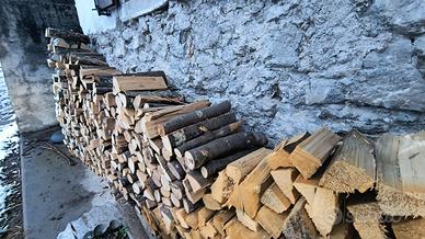 legna da ardere di faggio 