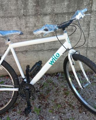 Bicicletta