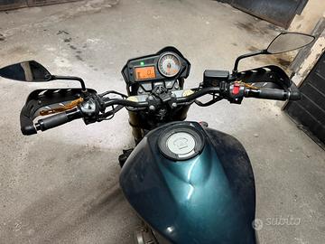 Honda hornet 600 2006
