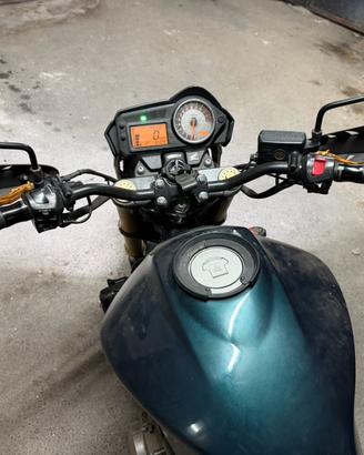 Honda hornet 600 2006