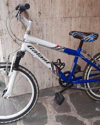 Bicicletta ragazzi