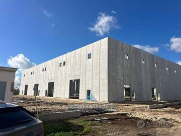 Immobile di 11500 m² a Pignataro Maggiore