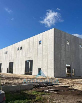 Immobile di 11500 m² a Pignataro Maggiore