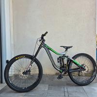 Giant glory downhill