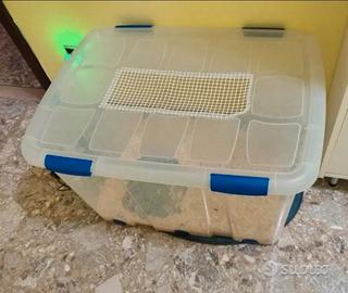 Teca gabbia roditori, riccio africano, criceti