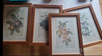 4 stampe  con cornici