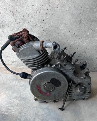 Ducati Cucciolo