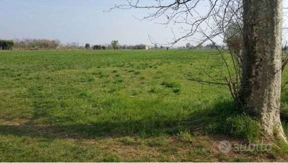 Terreno Agricolo a Trevignano