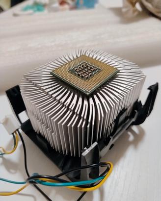 Processore Intel Pentium 4 3.00 Ghz