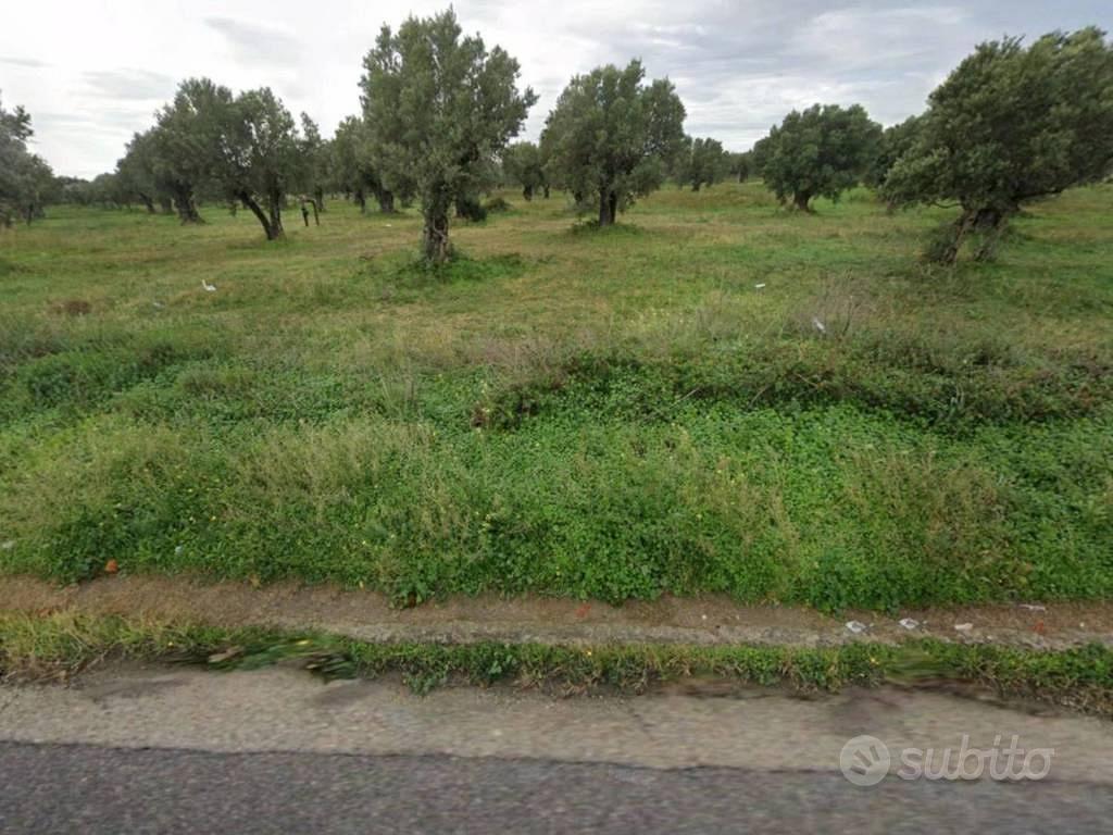 Immobile in asta di 48 m² a Isola di Capo Rizzuto - Vista 4