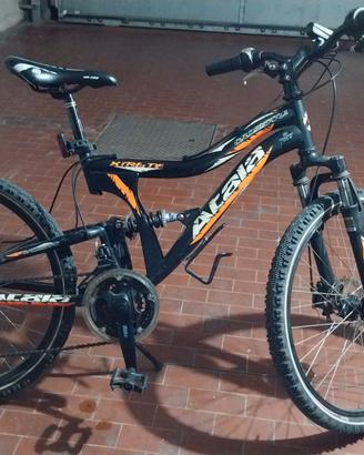 Mountain bike