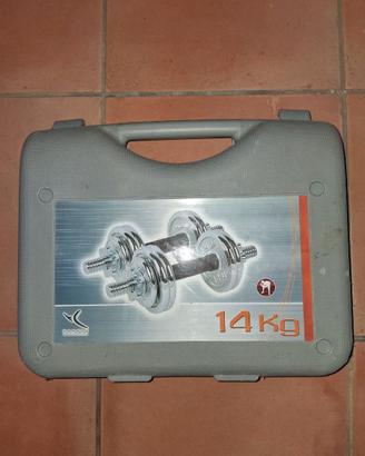 Set manubri + pesi