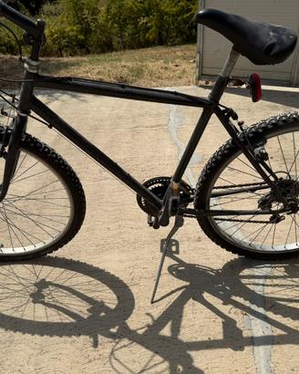 Bici mtb