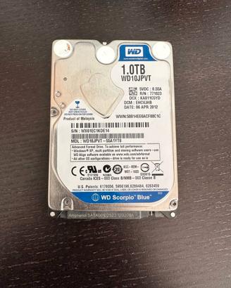 Western Digital WD10JPVT - Disco rigido WD 1TB Blu