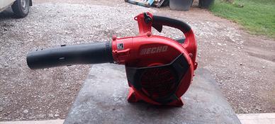 Soffiatore Echo