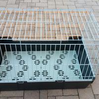 trasportino per cani di grossa taglia