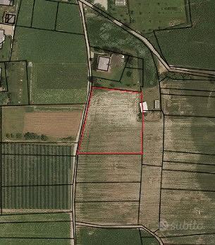 Terreno arativo - Vista 3