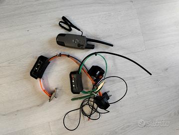 radio collari garmin