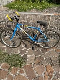 Bicicletta frera