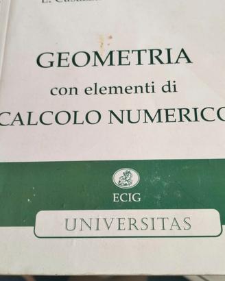 Volume: Geometria con elementi di calcolo numerico