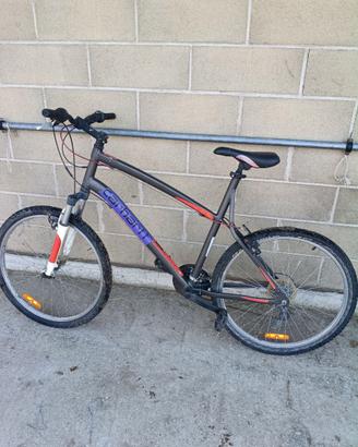 Bici da adulto