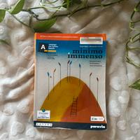 Libro Minimo e Immenso volume A