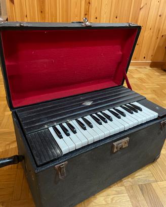 Organetto