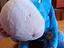 Immagine 4