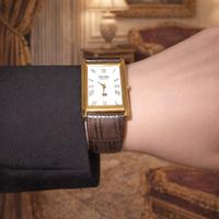 Seiko tank vintage SQ oro e marrone