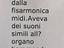Immagine 5