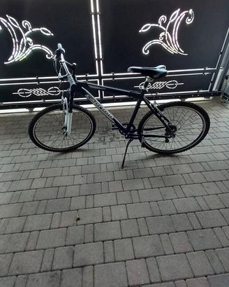 Bici Capriolo