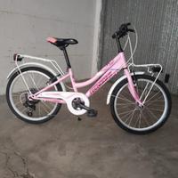 Bicicletta Tecnobike
