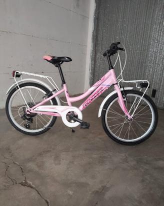 Bicicletta Tecnobike